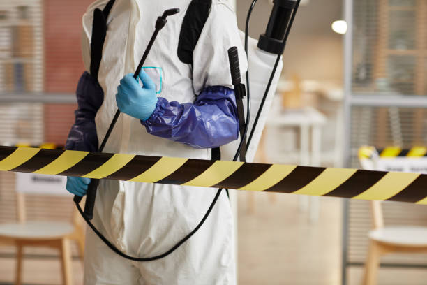 Professional Blood Cleanup technician working in Empire, NV