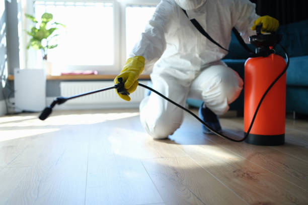 Reliable Blood Cleanup contractor in Empire, NV by Dulley Family Biohazard Services